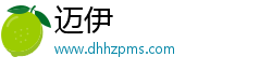 迈伊